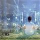 Protecting Ourselves from Scams in a Hyperconnected World